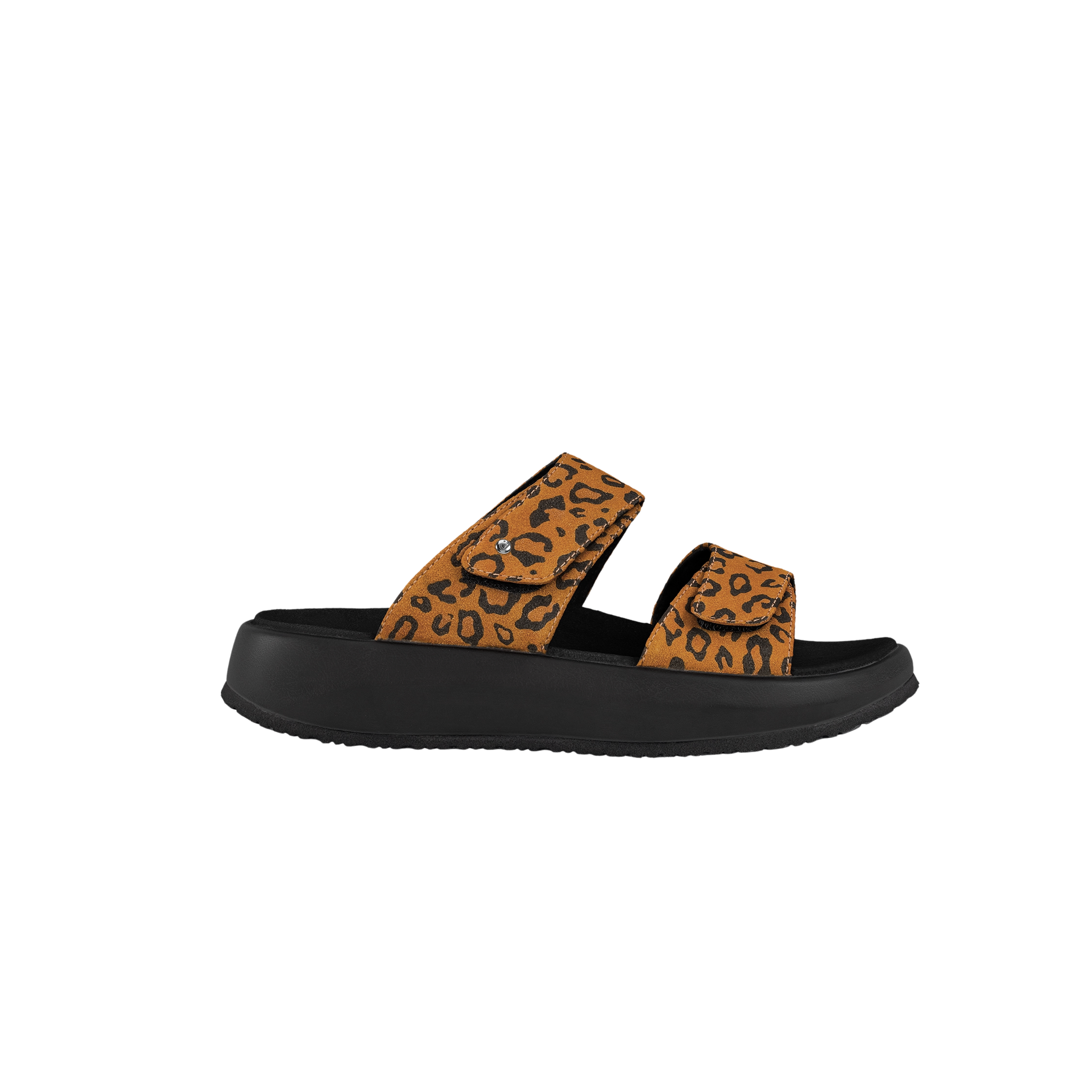 Black slide sandal with leopard print straps on a white background