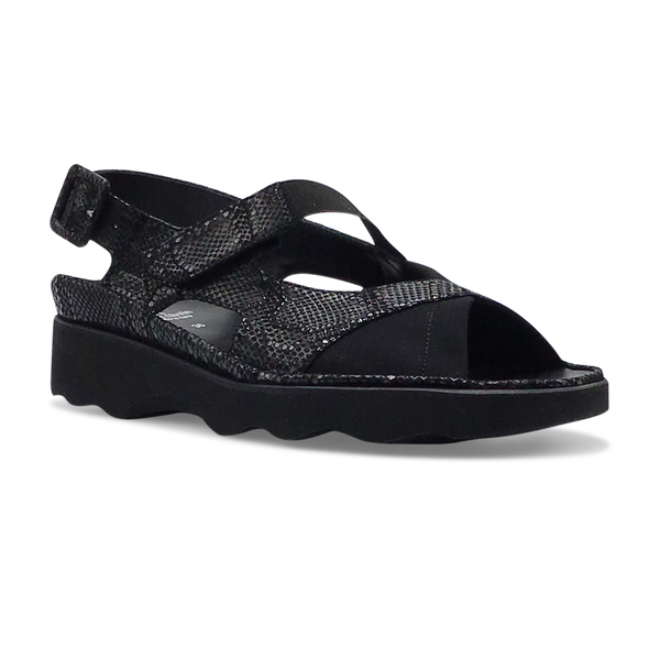 Thierry Rabotin Women's Wilton 1326 Black Stamped Suede Combo